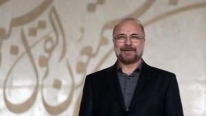 رئیس مجلس شورای اسلامی ایران: ما ثروت خود را از بین برده و به آتش می‌کشیم