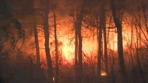 Incendio forestal en Irán que azota la provincia de Guilán