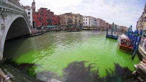 Venezia, il canal Grande si tinge di un verde fosforescente