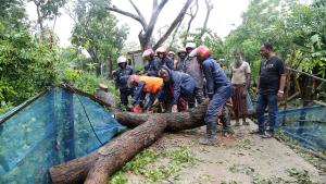 طوفان رمال در هند و بنگلادش؛ 16 نفر جان باختند