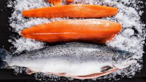 Vitin e kaluar Turqia ka eksportuar 6 mijë e 776 tonë salmon turk