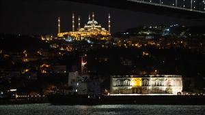 Taxıl gəmisi İstanbul boğazından keçdi