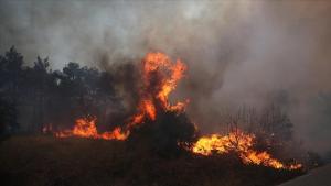 希腊伯罗奔尼撒半岛发生森林大火