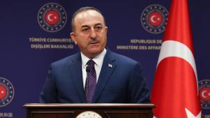 土耳其外长评估亚美尼亚问题