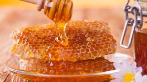 Exportações de mel da Türkiye atingem 5,1 milhões de dólares