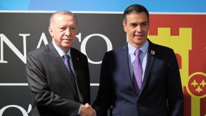Նախագահ Էրդողանը հանդիպել է Իսպանիայի վարչապետ Պեդրո Սանչեսի հետ