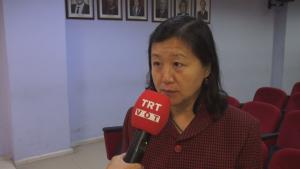 安大汉办教师接受TRT中文组采访