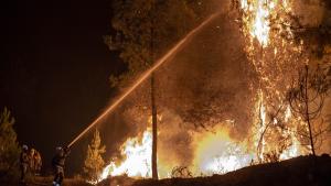 España e Italia luchan contra los incendios forestales