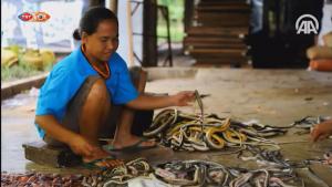 صنایع مار در اندونزی