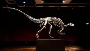 Dinozavr "Barri" satuğa çığa