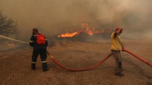 Τέθηκαν υπό έλεγχο οι 31 από 45 δασικές πυρκαγιές στην Ελλάδα