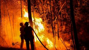 مراکش میں جنگلات کی آگ  کو بجھانے  کی کوشش کے دوران 3 افراد ہلاک