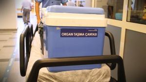 Seneqalda türk həkimlərdən ilk orqan transplantasiyası