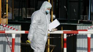 Detectan en España el primer caso de gripe aviar, segundo en Europa