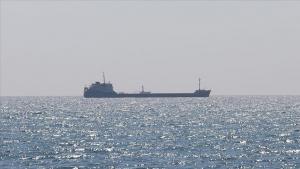 Ukrayna ərzaq məhsulları ilə dolu daha 12 gəmi limanlarından "Taxıl dəhlizi"nə yola düşdü
