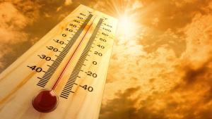 21 ივლისი დაფიქსირდა, როგორც უახლეს ისტორიაში მსოფლიოში „ყველაზე ცხელი დღე“