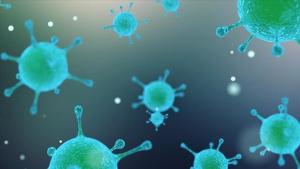ملاوی میں ہیضے کی وبا سے  12 افراد ہلاک