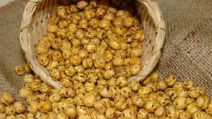 Los garbanzos tostados de Çorum