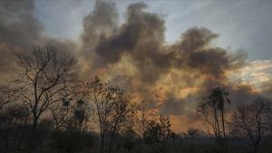 Morreram 15 pessoas em incêndios florestais no Peru