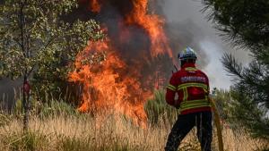 Incêndios florestais em Portugal: 7 mortos e dezenas de feridos