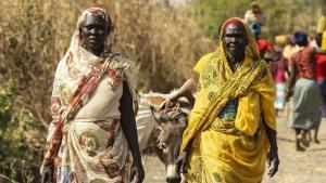 سوڈان کے علاقے دارفر میں صورتحال انتہائی بیانک بن چکی ہے، اقوام متحدہ