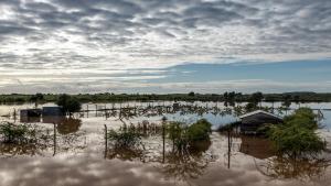 肯尼亚暴雨引发洪水死亡人数已增至136人