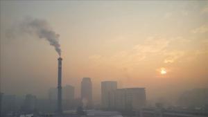 Замърсяването на въздуха и шумовото замърсяване водят до психологически разстройства