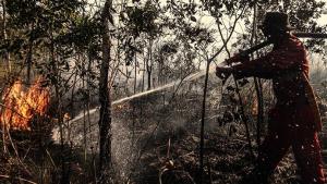 ادامه آتش‌سوزی‌ها در جزیره سوماترا اندونزی