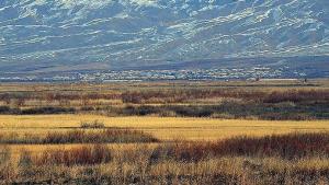 ارمنستان خبرنگاران را نیز مورد هدف قرار داد