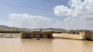 در اثر جاری شدن سیل در افغانستان 14 تن جان باختند