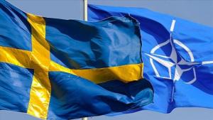 瑞典议会通过授权加入北约的法案