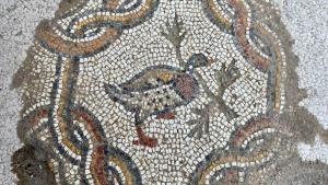 Destapan nuevos mosaicos en la antigua ciudad de Adrianópolis, Türkiye
