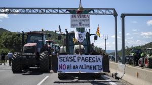 تظاهرات کشاورزان فرانسوی و اسپانیایی علیه سیاست‌های کشاورزی اتحادیه اروپا