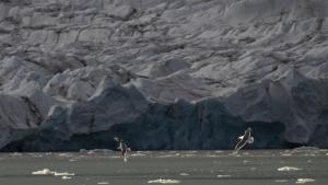El deshielo de los glaciares en los polos causa que la Tierra gire más lentamente