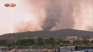 آتش سوزی جنگلی در فرانسه
