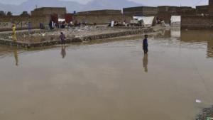 پاکستان میں مون سون بارشوں سے جانی و مالی نقصان کا سلسلہ جاری