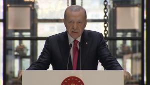 اردوغان، زلئنسکی ایله گؤروشدو