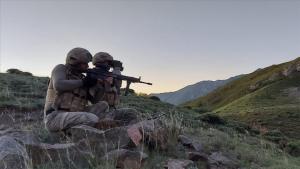 PKK/YPG üzvü 14 terrorçu zərərsizləşdirilib