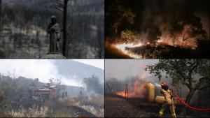 世界多国发生森林火灾