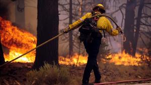امریکہ: کیلی فورنیا میں جنگلاتی آگ ،متعدد مکان خطرے سے دوچار