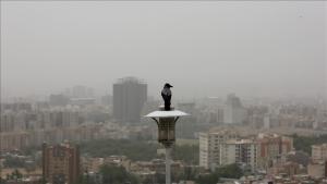 آلودگی هوا در ایران طی سال گذشته منجر به مرگ 21 هزار ایرانی شد