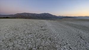 قطع آب دیاله توسط ایران، موجب حذف این استان از طرح کشاورزی شد
