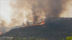 Incendii de vegetație în Grecia