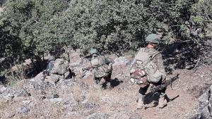 ترکی: پنجہ۔ٹائیگر آپریشن کے علاقے میں PKK کے 3 دہشت گردوں کو غیر فعال  بنا دیا گیا