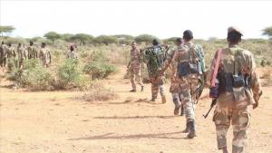 somalida térrorluq teshkilati eshshebab ezasi  10 térrorchi  bir terep qilindi