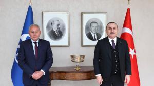 Entretien de Mevlüt Çavuşoğlu avec Nasser Kamel à Ankara