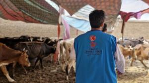 ترکیه میان خانواده‌های نیازمند در افغانستان گوشت قربانی توزیع کرد
