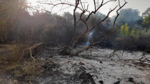 در آتش‌سوزی‌های جنگلی در الجزایر 26 نفر جان باختند