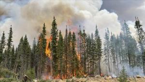 加拿大森林大火导致数千人撤离