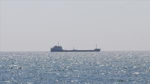 Перс булуңунун Кызматташтык Кеңеши Кара деңиз дан демилгесин улантууну колдойт